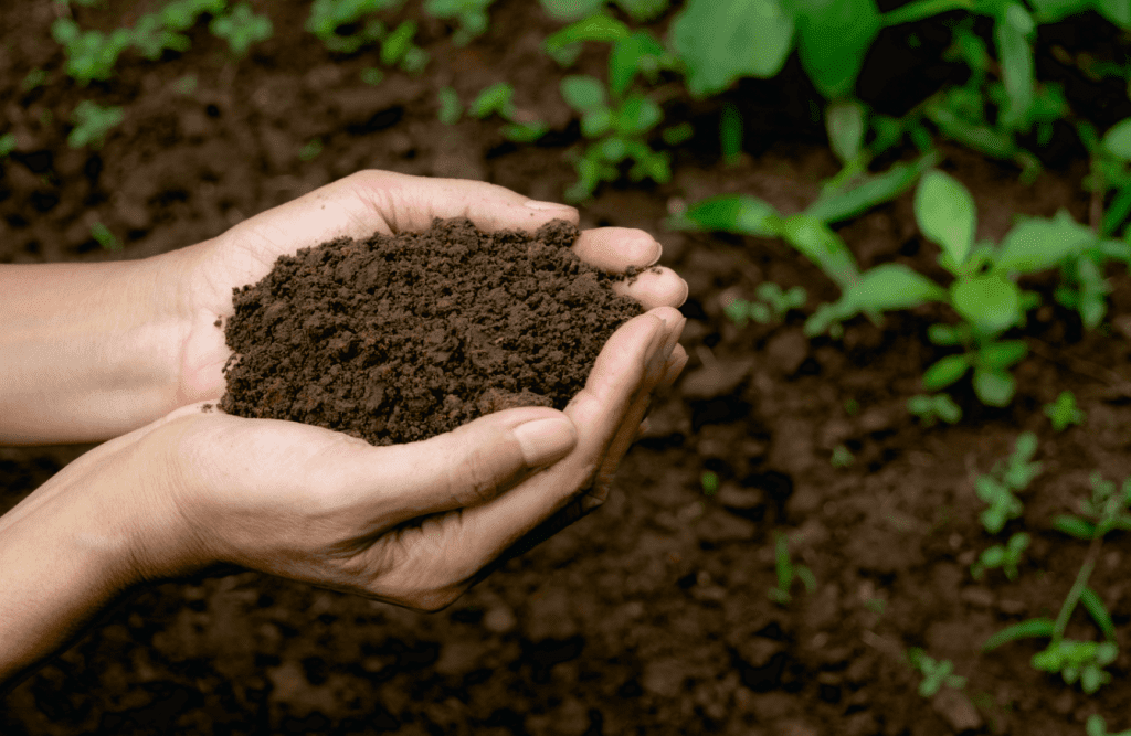 Use the Right Ratio of Products, composting at home