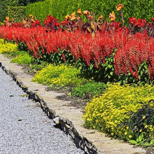 Rustic looking paving slabs in between gravel and different colored plants and flowers.